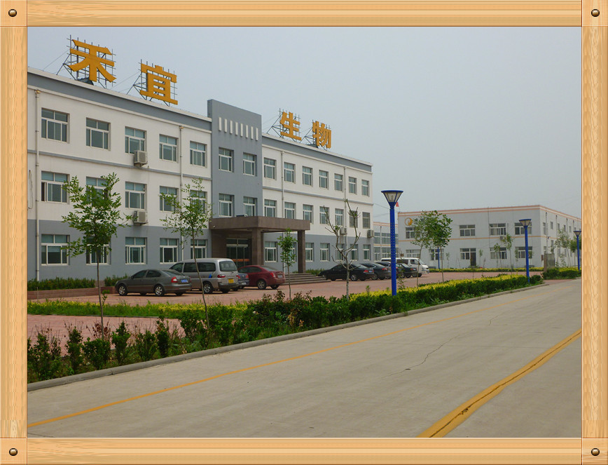 چین Weifang Heyi Agrochemical Co.,Ltd نمایه شرکت
