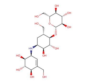 37248-47-8 باسیلوس سوبتیلیس 1X10E12 CFU G Validamycin A 20٪ WP سموم بیولوژیکی